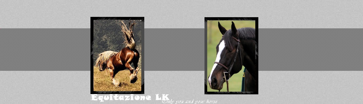 Equitazione Versenyistll-Only you and your horse